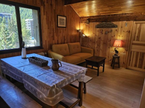 Joli T3 pied des pistes